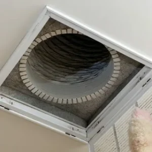 Home Protection
